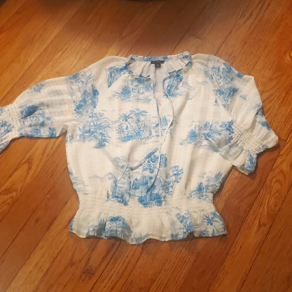 Ann Taylor Blue Toile